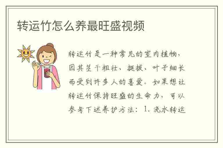 转运竹怎么养最旺盛视频